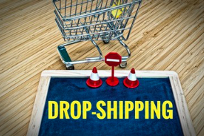 Dropshipping Ideas For High Profits